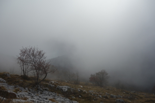 Nebel am Monte Pizzocolo