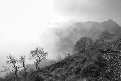 Nebelstimmung am Monte Pizzocolo