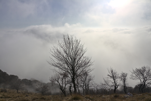 Nebelstimmung am Monte Pizzocolo